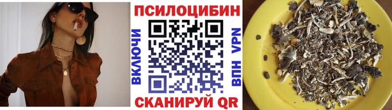 Галлюциногенные грибы Magic Shrooms  Вытегра 